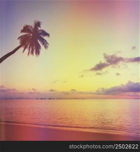 Tropical sunset with palm tree silhoette at beach, retro stylized