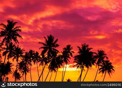Tropical sunset with palm trees silhouettes