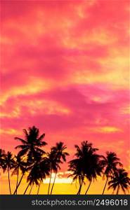 Tropical sunset with palm trees silhouettes and sky for copy space