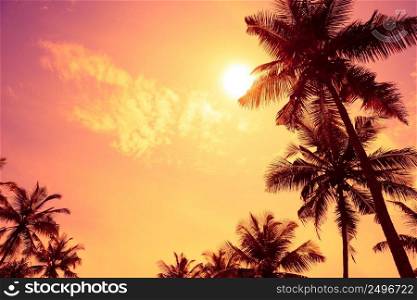 Tropical sunset with palm tress and copy space