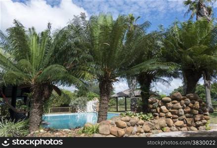 tropical swimming pool with palm trees in lodge south africa