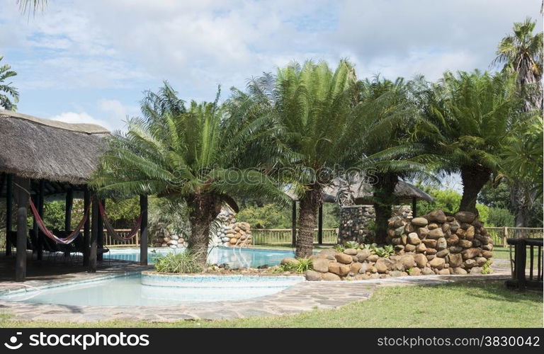 tropical swimming pool with palm trees in lodge south africa