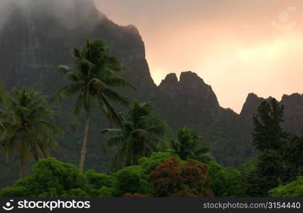 Tropical vegetation at the base of a hill, Moorea, Tahiti, French Polynesia, South Pacific