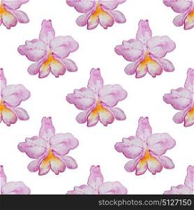 Tropical watercolor seamless pattern with pink orchids on a white background