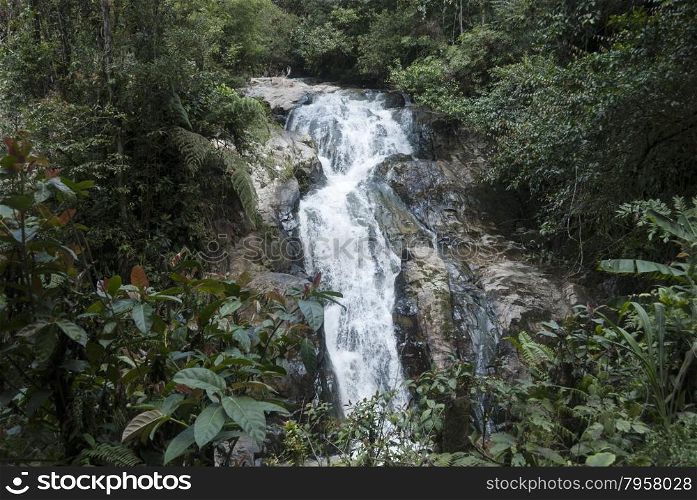 tropical waterfall in Malasia rain forest