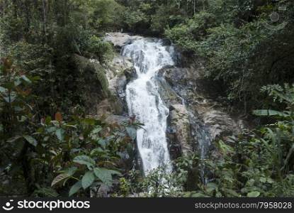 tropical waterfall in Malasia rain forest