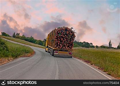 Truck with wood driving in the countryside from Portugal at sunset