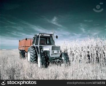 True infrared picture of a tractor between corn and wheat fields
