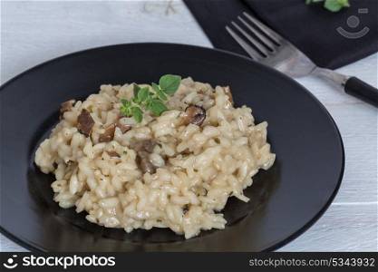 Truffle Risotto with marjoram on a plate.. Truffle Risotto with marjoram on a plate
