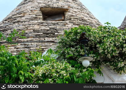 Trulli house roof in main touristic district of Alberobello beautiful old historic town, Apulia region, Southern Italy