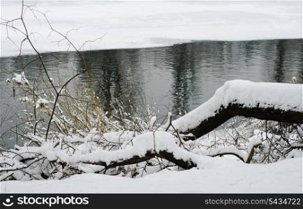 Trunk under the snow near the river. Winter landscape