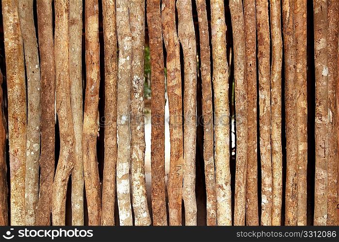 trunks wooden wall in rainforest jungle house pattern background