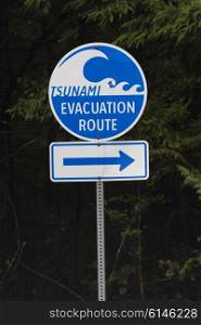 Tsunami evacuation route sign, Pacific Rim National Park Reserve, British Columbia, Canada