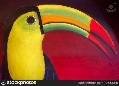 Tucan bird draw from Mayan Riviera in Mexico