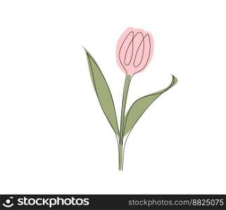 Tulip drawn with one line. Illustration isolated on white background. Tulip drawn with one line.