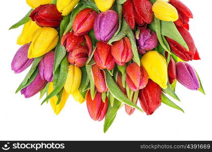 Tulip flowers. Bouquet of fresh spring tulips