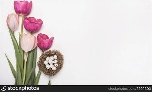 tulip flowers with quail eggs nest