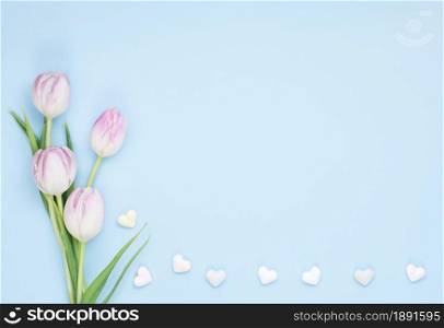 tulip flowers with small hearts. Resolution and high quality beautiful photo. tulip flowers with small hearts. High quality and resolution beautiful photo concept