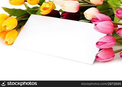 Tulips and blank message isolated on white