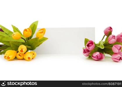 Tulips and blank message isolated on white