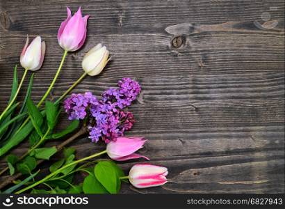tulips and lilac over dark wood spring background