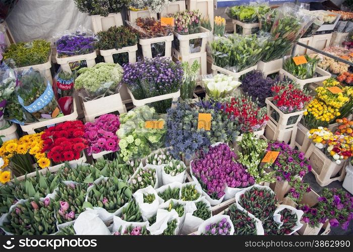tulips and other flowers on marketplace in the dutch city of breda
