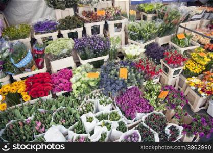tulips and other flowers on marketplace in the dutch city of breda