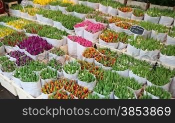 Tulips and souvenirs at flower market in Amsterdam, Holland (sequence)