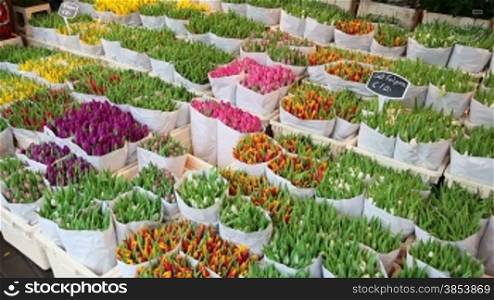 Tulips and souvenirs at flower market in Amsterdam, Holland (sequence)