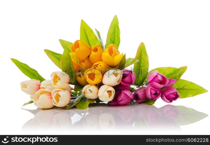 Tulips flowers isolated on the white