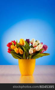 Tulips flowers on gradient background