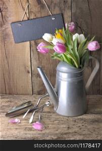 tulips in a metal watering can with gardening tools and a slate on wooden background