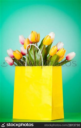 Tulips in the bag against gradient background