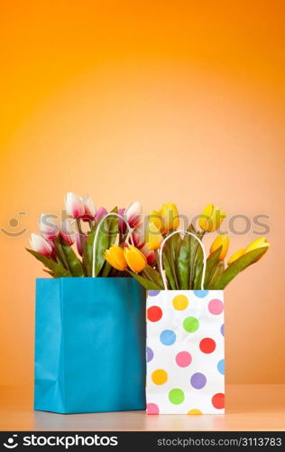 Tulips in the bag against gradient background