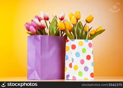 Tulips in the bag against gradient background