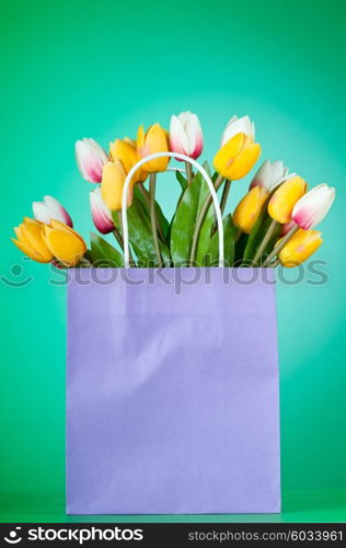 Tulips in the bag against gradient background