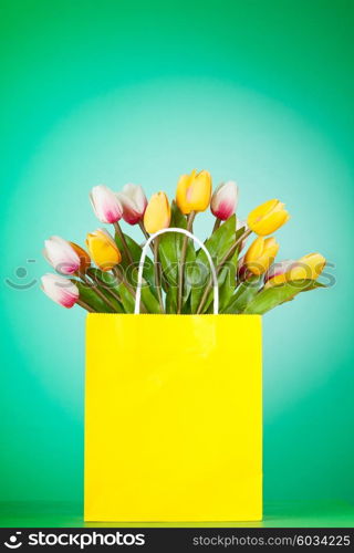 Tulips in the bag against gradient background