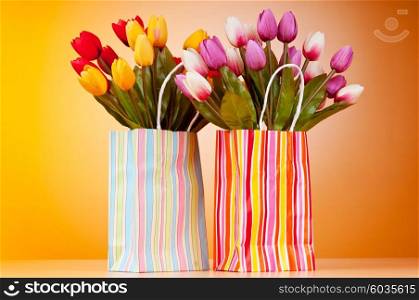 Tulips in the bag against gradient background