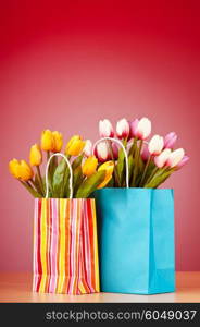 Tulips in the bag against gradient background