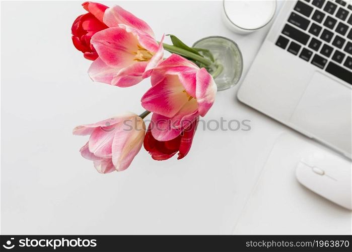 tulips laptop white table. High resolution photo. tulips laptop white table. High quality photo