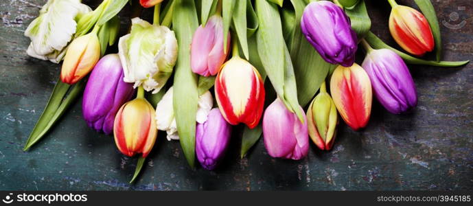 Tulips on a wooden background with space for text