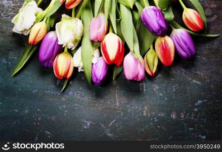 Tulips on a wooden background with space for text