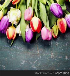 Tulips on a wooden background with space for text