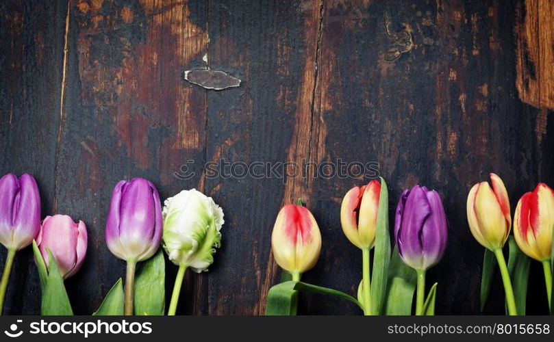 Tulips on a wooden background with space for text