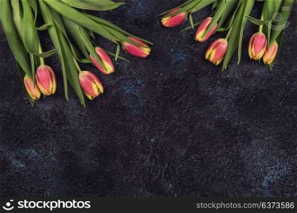 Tulips on darken concrete background. Tulips on darken concrete background for Mother&rsquo;s Day, spring time or Easter theme.