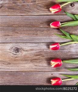 Tulips on rustic wood, right side of frame, in vertical format.