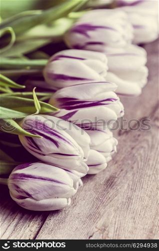 Tulips on wooden background