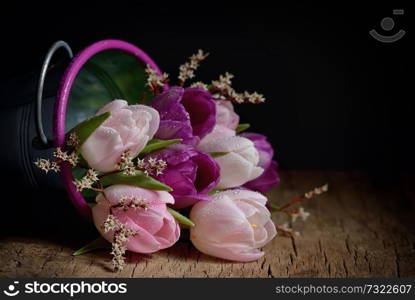 Tulips with drops in a bucket on a wooden table