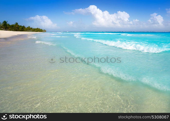Tulum Caribbean turquoise beach in Riviera Maya of Mayan Mexico
