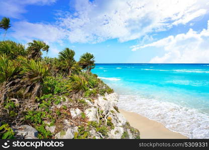 Tulum Mayan city ruins in Riviera Maya at the Caribbean of Mayan Mexico